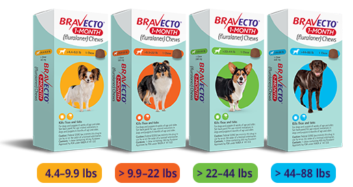 Bravecto ONE (4.6-10kg) Orange