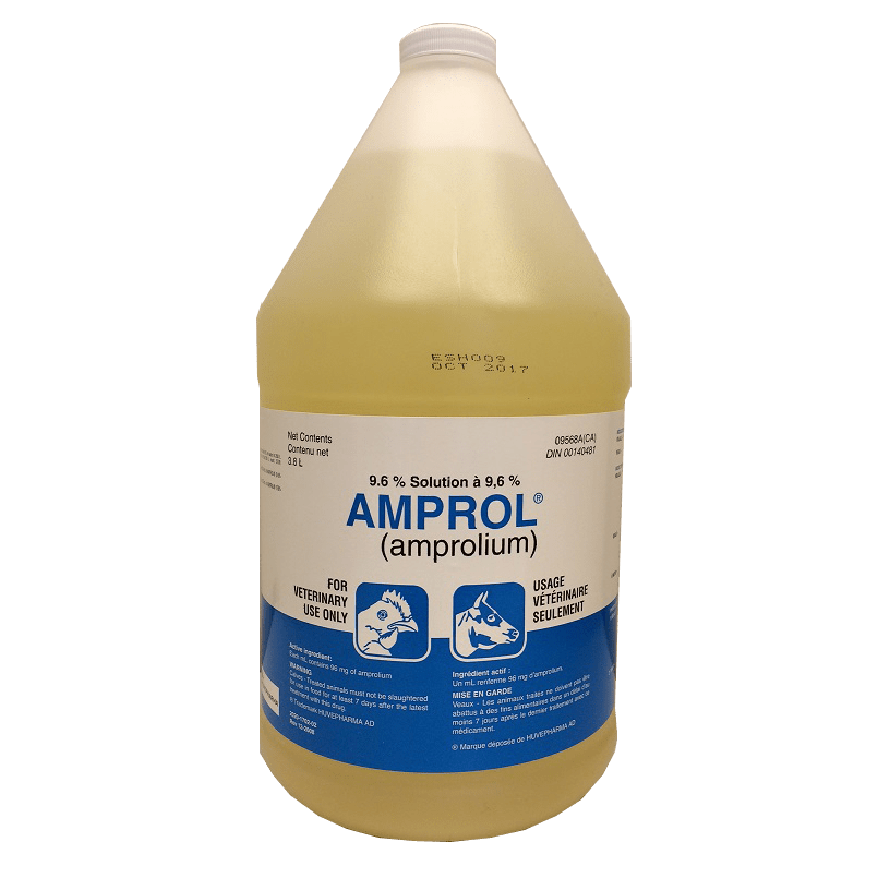 Amprol 9.6% (Amprolium) Solution