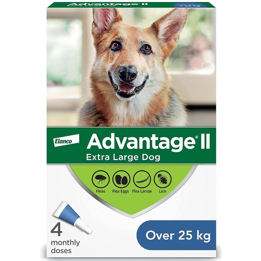 Advantage II Extra Large Dogs > 25 kg (Blue), 4 Pack