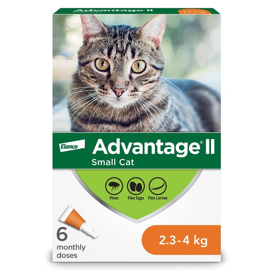 Advantage II Small Cats 2.3-4kg (Orange), 6 Pack