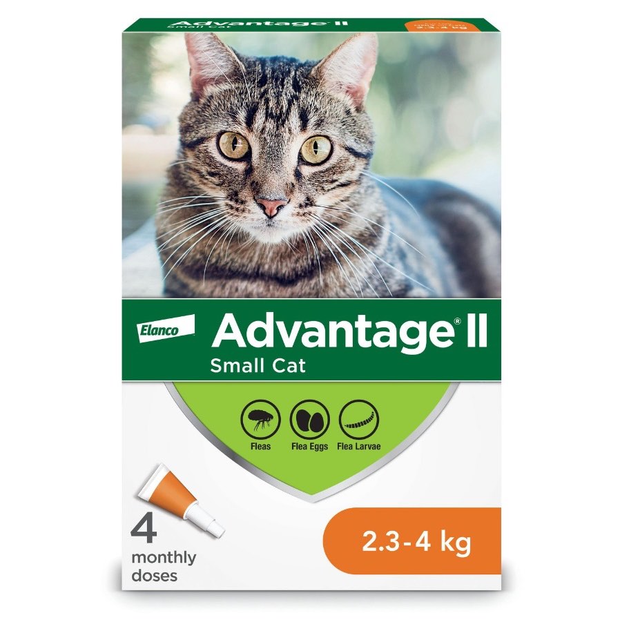 Advantage II Small Cats 2.3-4kg (Orange), 4 Pack