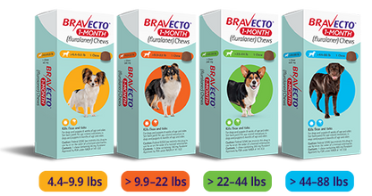 Bravecto ONE (4.6-10kg) Orange