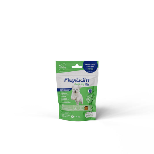 Flexadin Young Dog Mini chews for young dogs