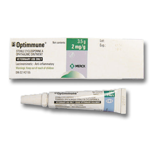 Optimmune Ophthalmic Ointment, 2 mg/g – VetMeds