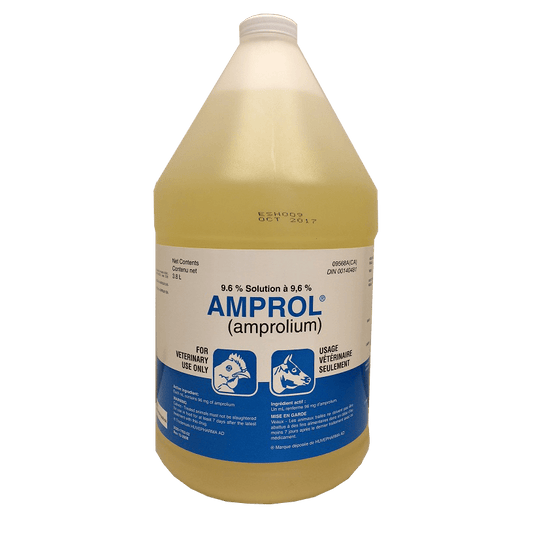 Amprol 9.6% (Amprolium) Solution