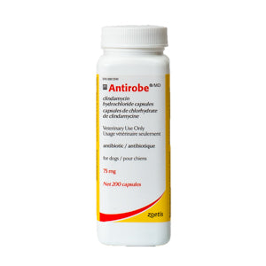 Antirobe 75mg