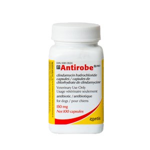 Antirobe 150mg