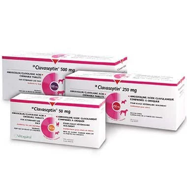 Clavaseptin 250mg