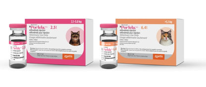 Portela injection for cats 2.5mg/ml
