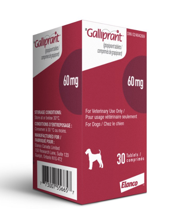 Galliprant 60mg
