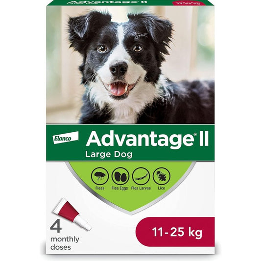 Advantage II Large Dogs 11-25 kg (Red), 4 Pack