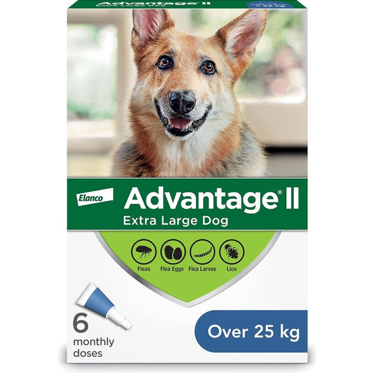 Advantage II Extra Large Dogs > 25 kg (Blue), 6 Pack