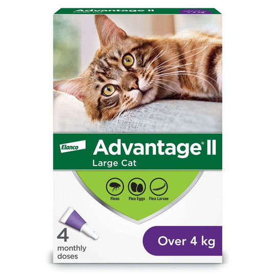 Advantage II Large Cats > 4kg (Purple), 4 Pack