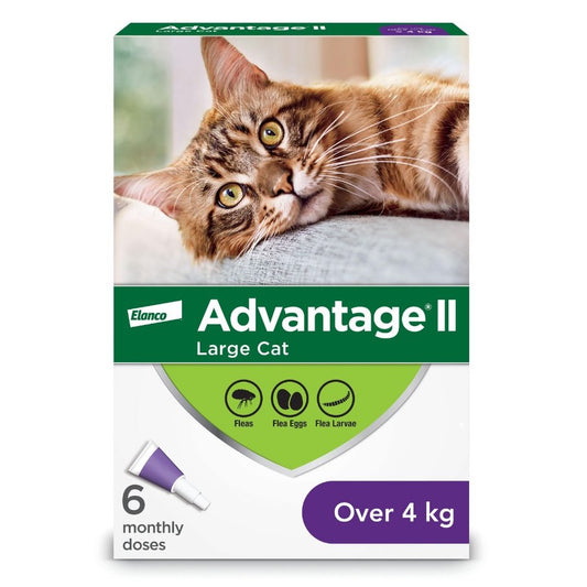 Advantage II Large Cats > 4kg (Purple), 6 Pack