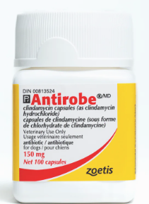 Antirobe