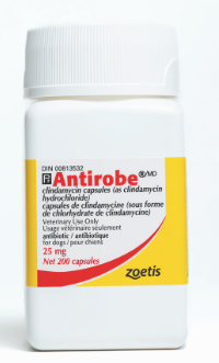 Antirobe