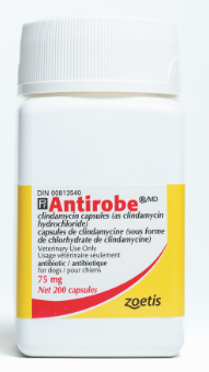 Antirobe