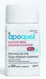 Apoquel Tablets (Non-Chewable)
