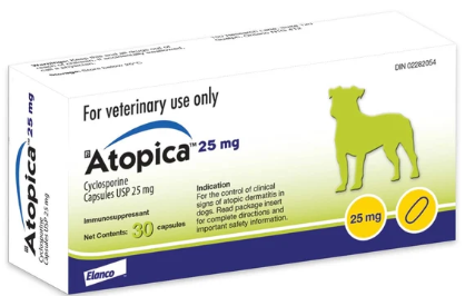 Atopica for Dogs