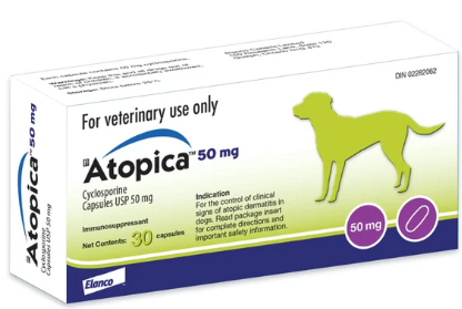 Atopica for Dogs