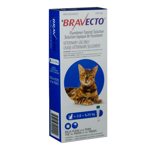 Bravecto Topical 250mg (Cats >2.8-6.25kg) (Blue)