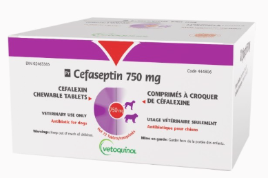 Cefaseptin