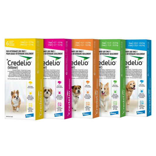 Credelio Green for Dogs (11-22kg)