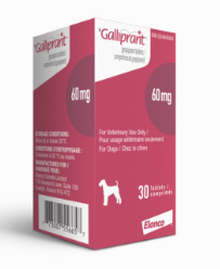 Galliprant