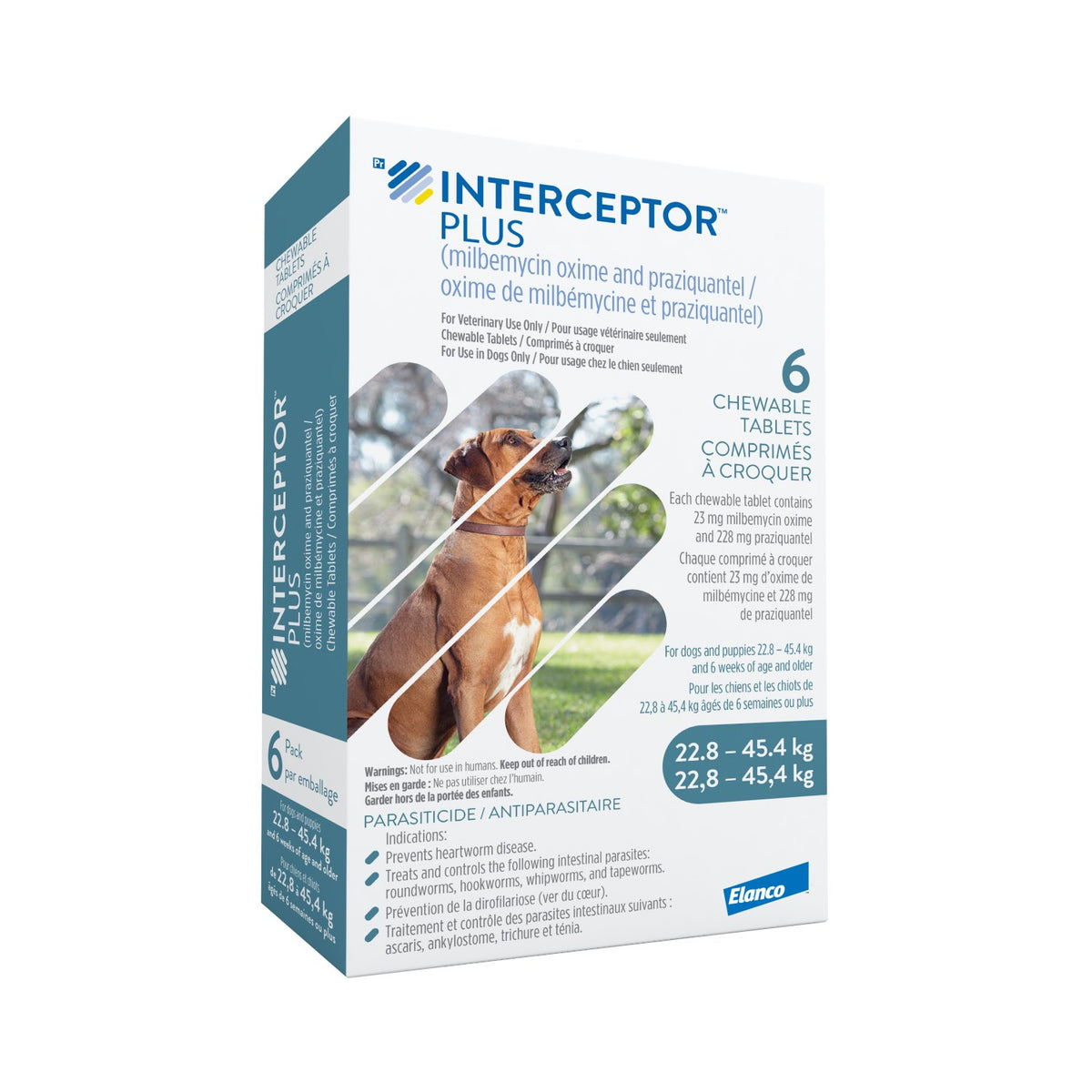 Interceptor Blue Interceptor Plus (Blue 22.8-45.4kg) – VetMeds