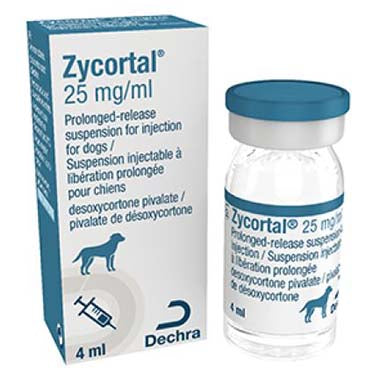 Zycortal Suspension