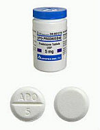 Prednisone 5mg