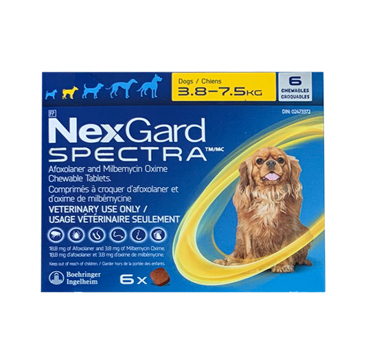 Nexgard Spectra 3.8 - 7.5kg (Yellow)