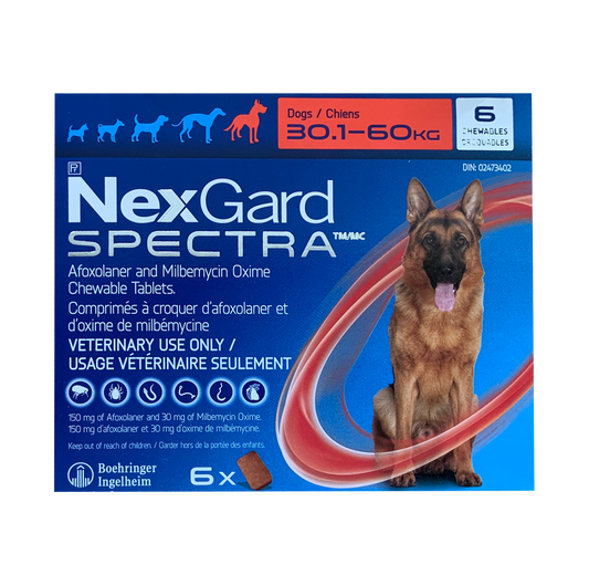 Nexgard Spectra 30.1 - 60kg (Red)